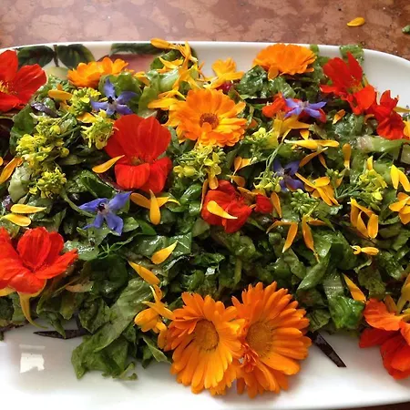 アパート Pichlgut *