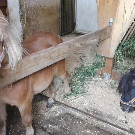 Pichlgut ラートシュタット